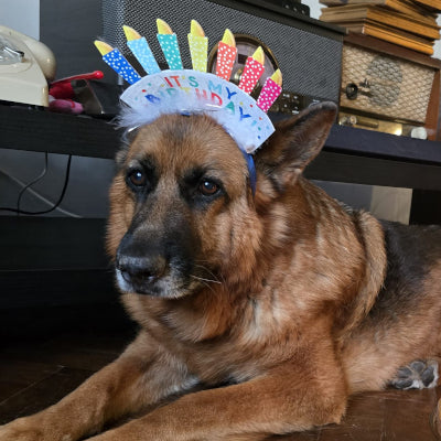 Dog's birthday party.